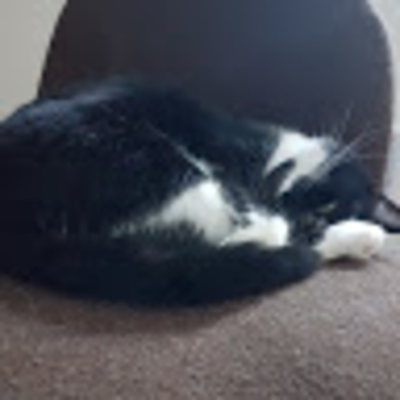 Meet your Posher, Lydia - Picture 1 of 1